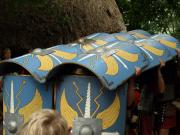 Roman Shield Tortoise