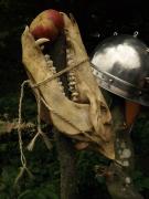 Skull--apple